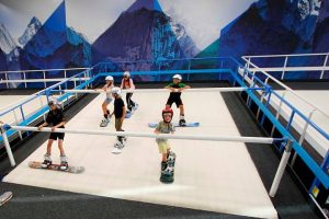 proleski simulator melbourne