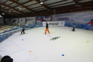 artificial ski slope disc