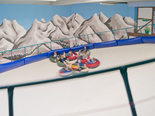 Tobogganing alpine sports disc slope ski simulator tobogganing