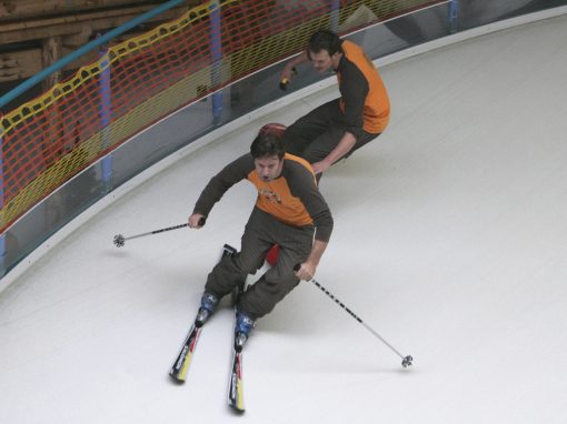 Alpine Sports skiing ski simulator disc slope alpine sports