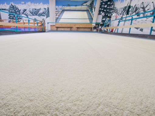 Ski grass dry slope