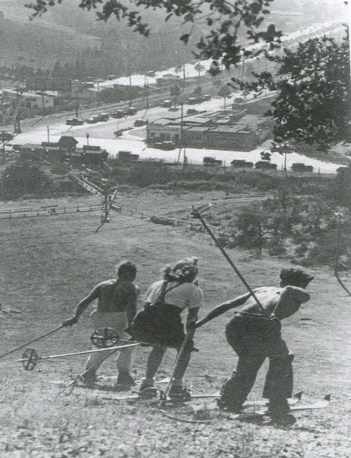 dry-slope-hill-skiing dry-slope-hill-skiing