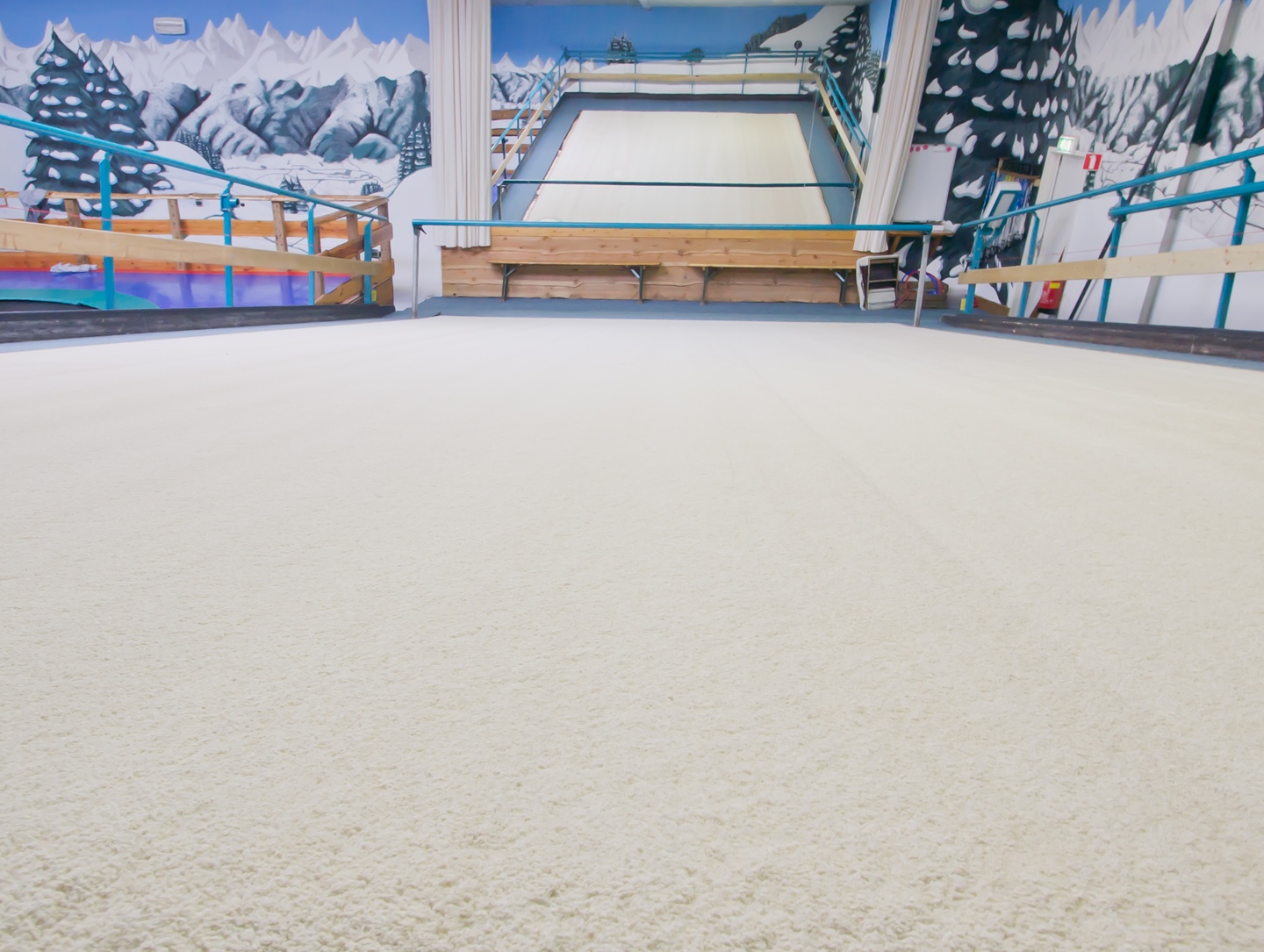 artificial-pole-snow-ski-grass-skimachine