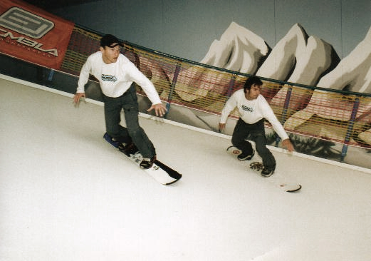 Disc Ski Slope Rob