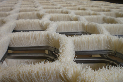 ski grass dry slope