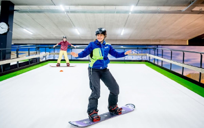 ski simulator ski simulator