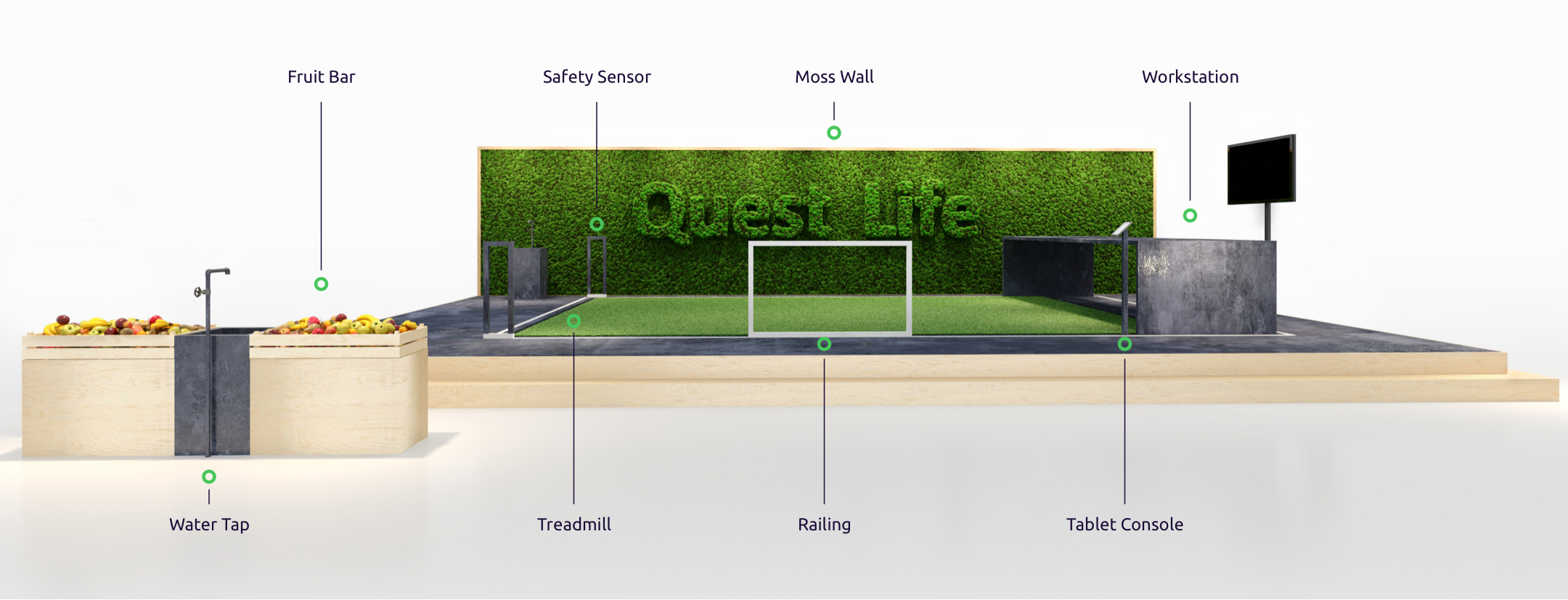 quest life quest life