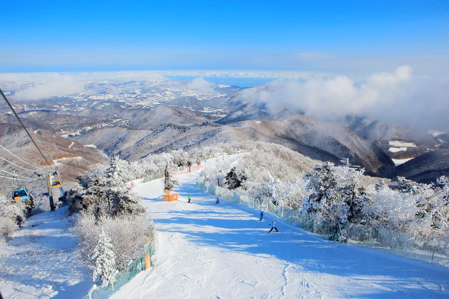 yongpyong ski resort yongpyong ski resort