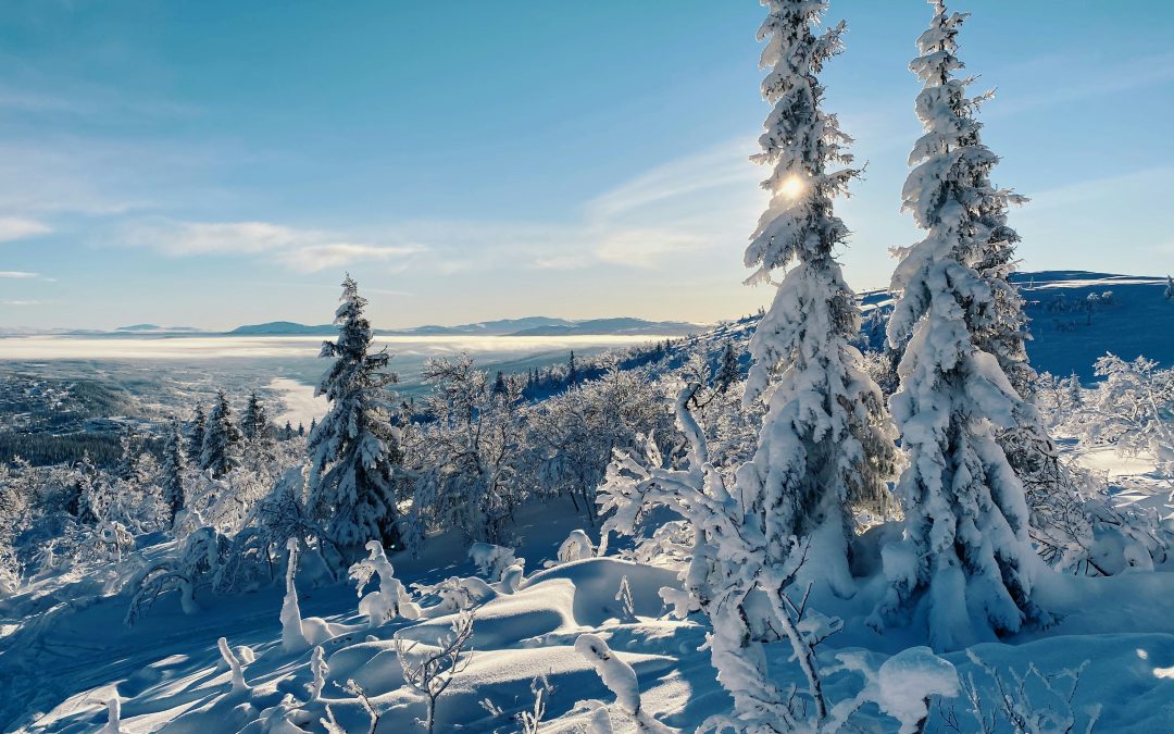 scandinavia ski