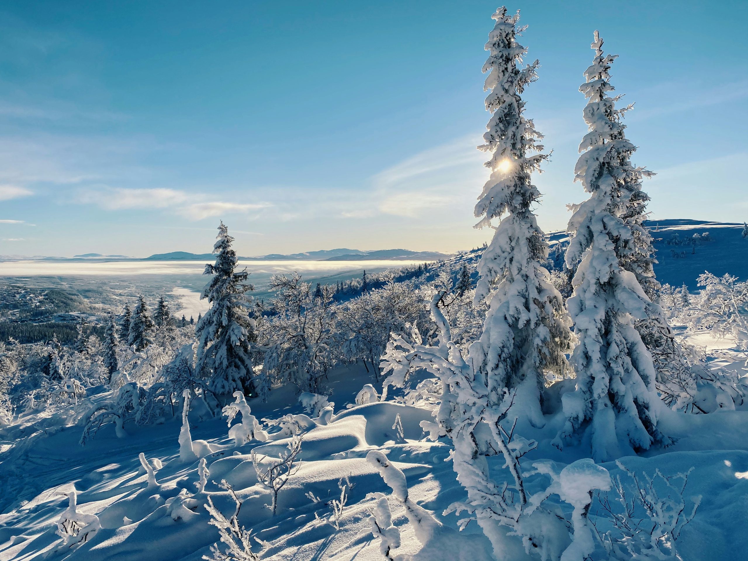 scandinavia ski