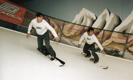 history of skimachine